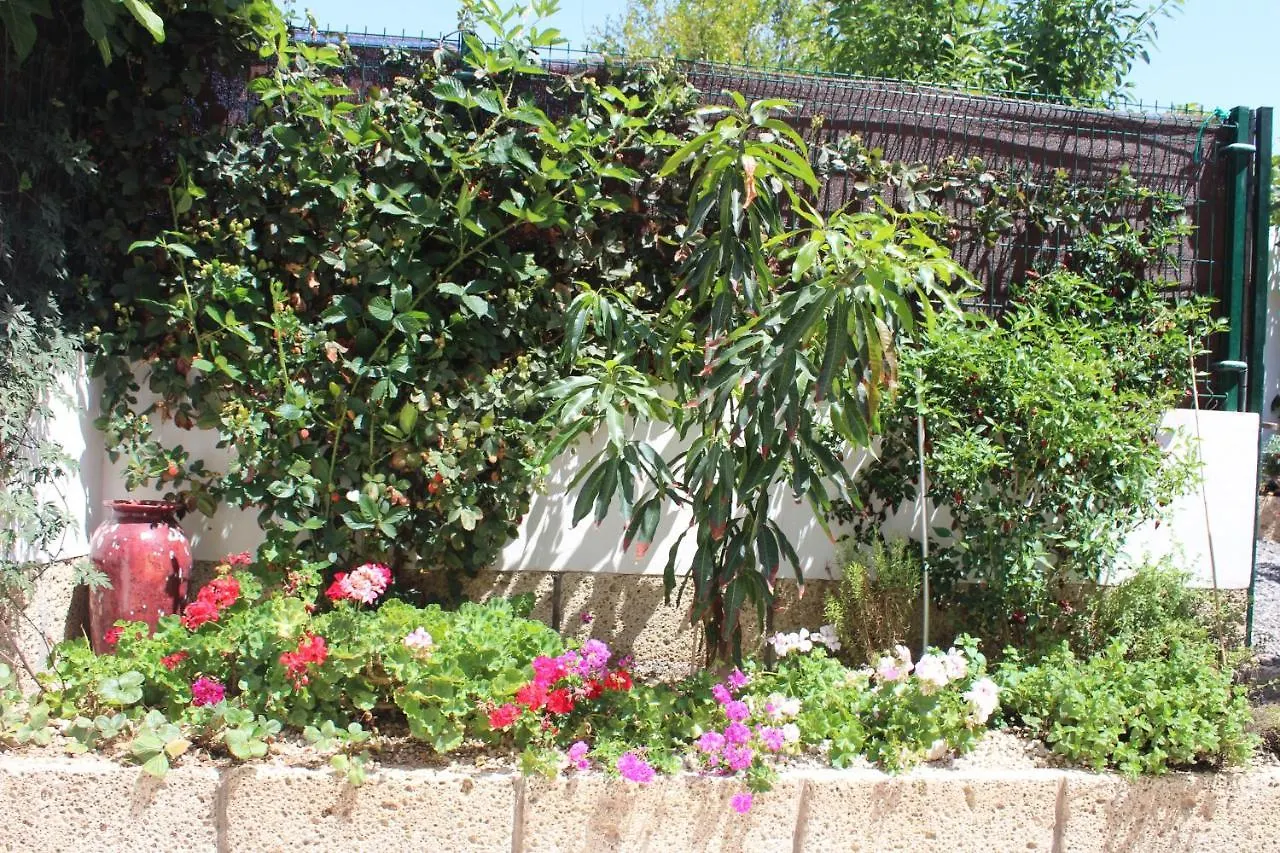 Casa El Olivo, Tenerife Valle de San Lorenzo Holiday home